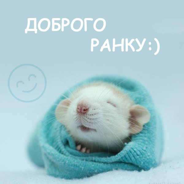 Побажання доброго ранку №26