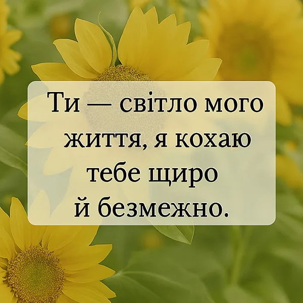 Освідчення в коханні дівчині №34